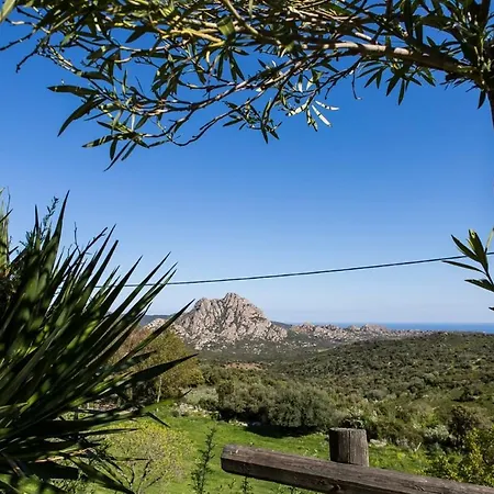 T2 Rez De * Saint-Florent (Corsica)