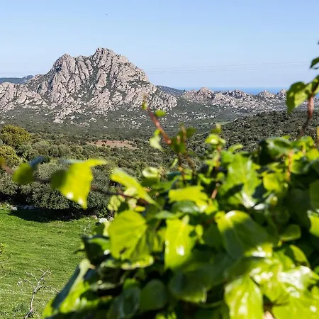 Apartamento T2 Rez De