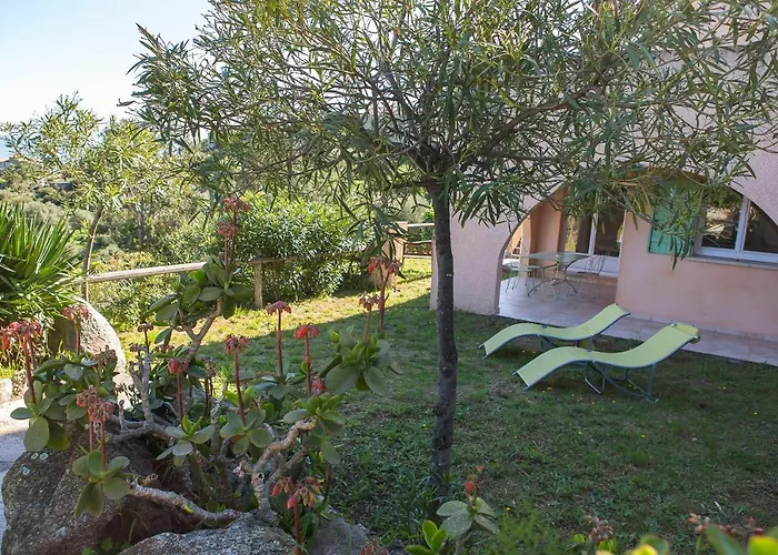 Appartement T2 Rez De *